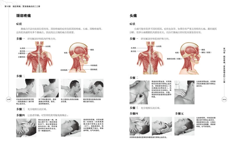 人体止痛完全图解(图解64处激痛点,7种治疗疼痛术,10种居家自疗法)