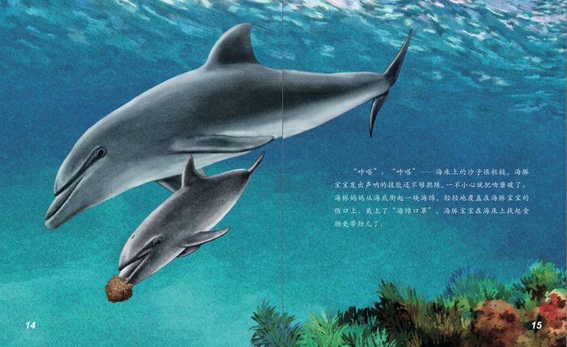 海洋动物探秘故事:宽吻海豚和飞旋海豚9787502789152全新正_图书杂志-小说-中国当代小说