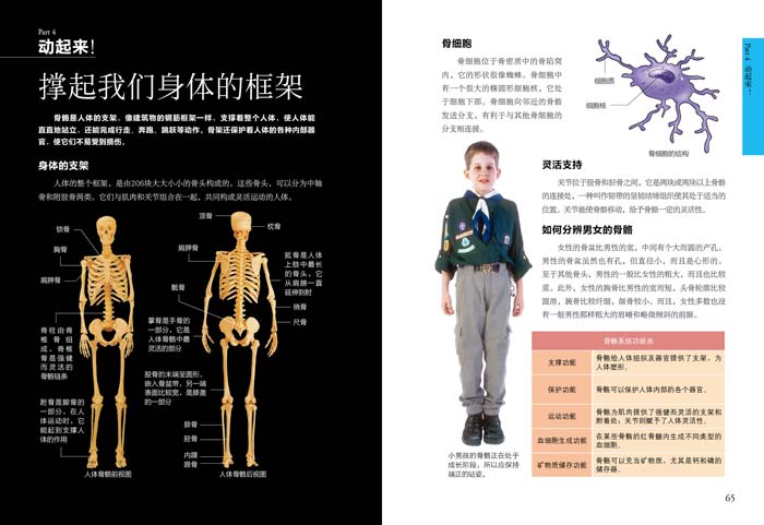 人体地图 日知图书 北京联合出版公司 9787550242319