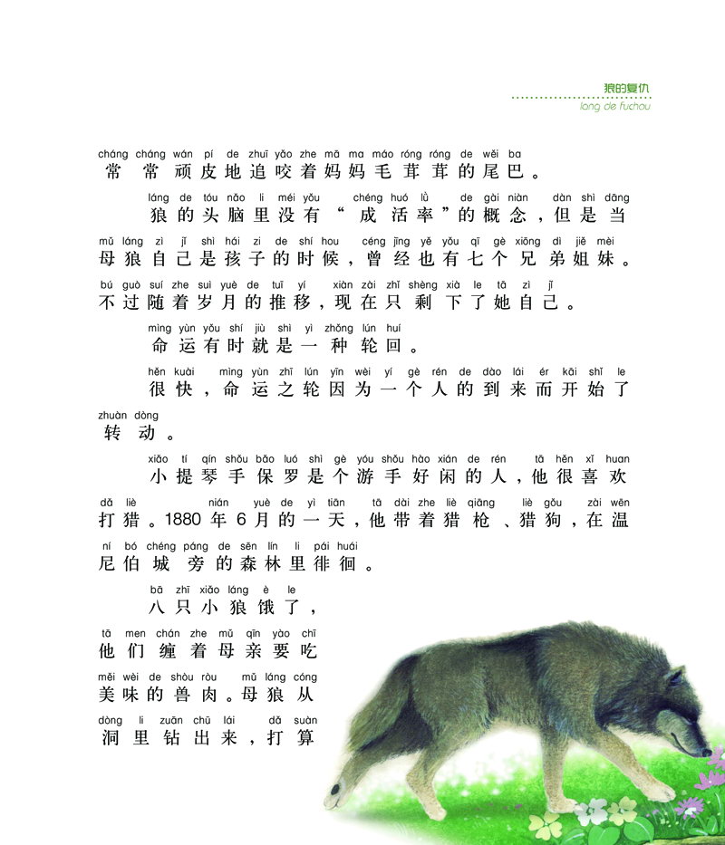 插图