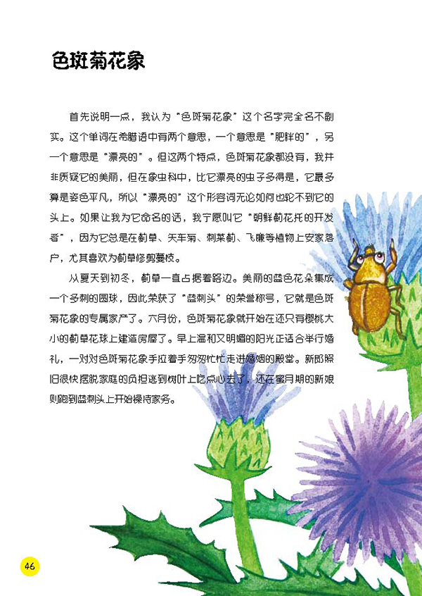 【书籍正版】昆虫记 毛虫的故事—松毛虫,叶甲 [法]法布尔原著,胡延东