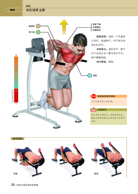 篮球教案体育教案_体育老师教案怎么写_大班音乐教案老师老师我爱你