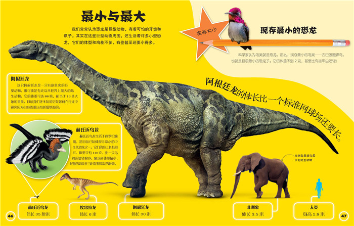 到中生代 波浪之下 空中猎手 翱翔的翼龙 恐龙系