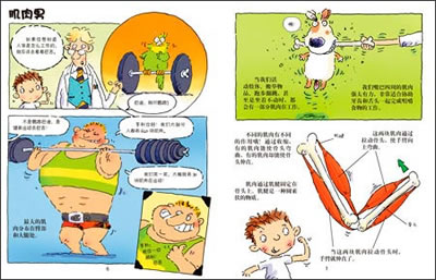 插图