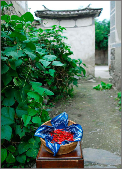 《云的南方从大理、丽江到香格里拉(云漂行