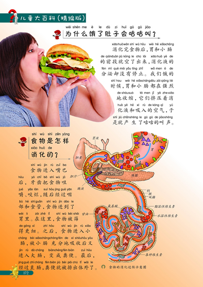 插图