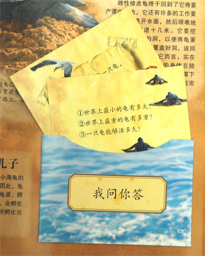 插图
