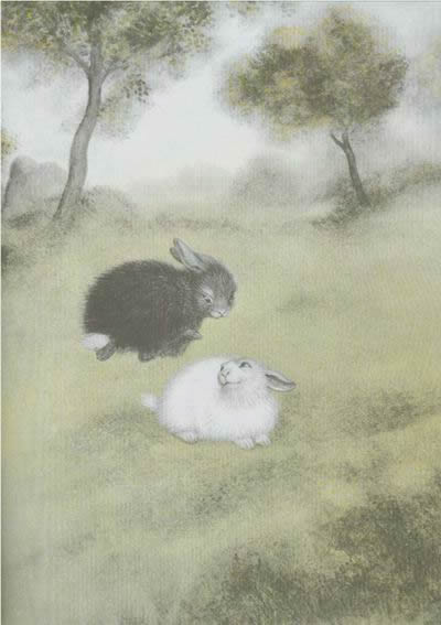 插图