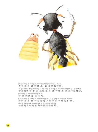 插图