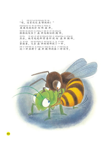 插图