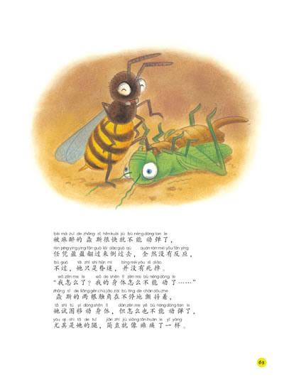 插图
