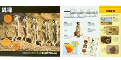 国家地理学会--非洲动物跳出来 美国国家地理学