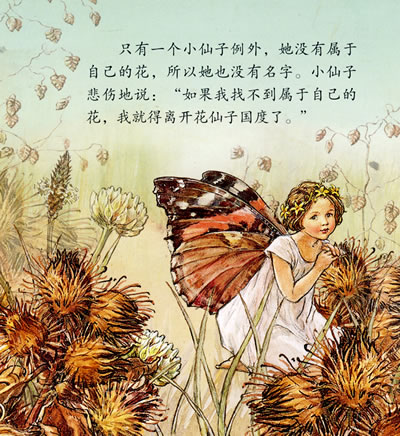 花仙子的故事—百日草仙子取名的故事(全彩)