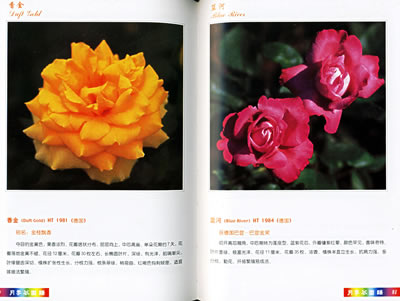 月季花图谱(第1集) 高强,孟庆海 中国林业出版社 9787503834073