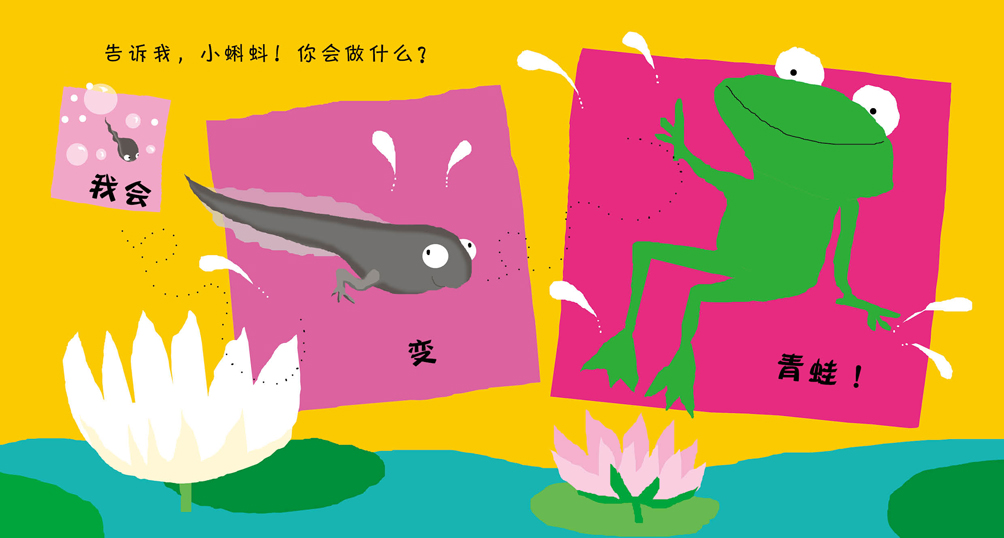 插图