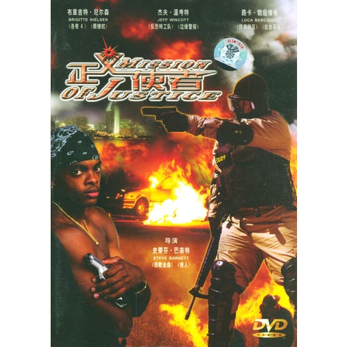 正义使者(dvd)