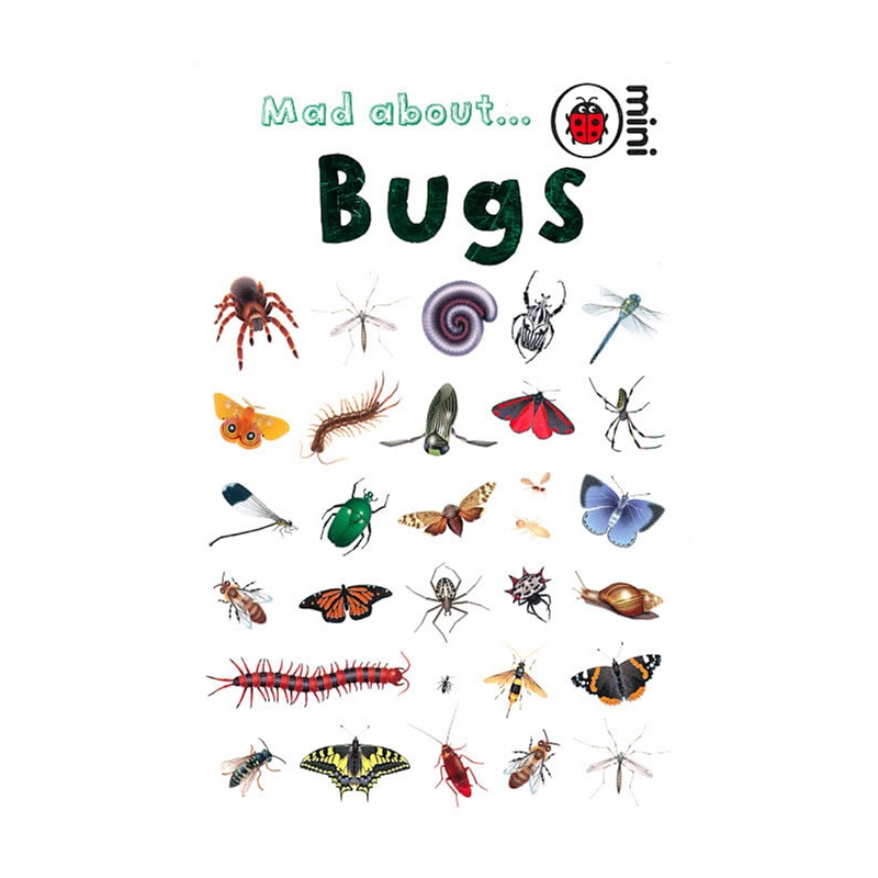 mad about bugs 小瓢虫书系-让人着迷的虫子