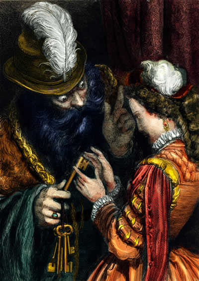 lb蓝胡子魔王 9787540233945