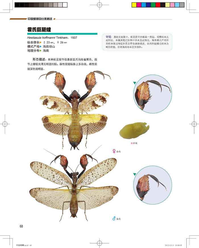 中国螳螂 朱笑愚,吴超,袁勤 【正版书籍】
