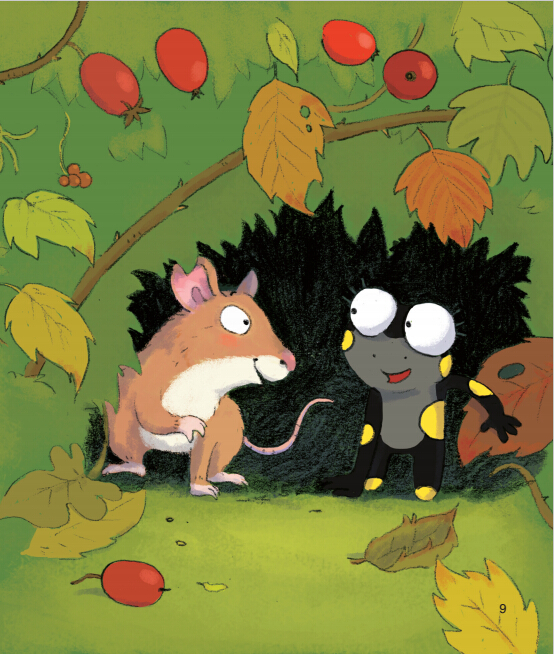 蒲公英动物绘本系列:会变魔术的尾巴