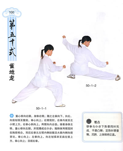 >> 文章内容 >> 陈式太极拳入门十二说要 请问谁有陈式太极拳整套的